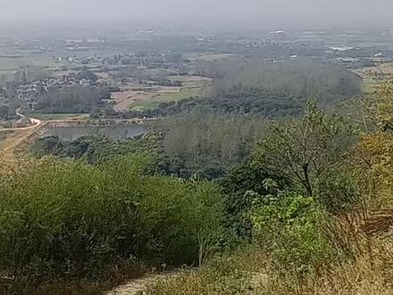 因为抖音的诱惑,我们驱车来到镇江的马迹山。#大山深处自然美