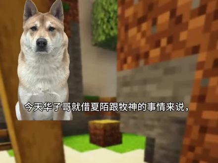 #夏陌#边牧#塔罗#华神记#热门