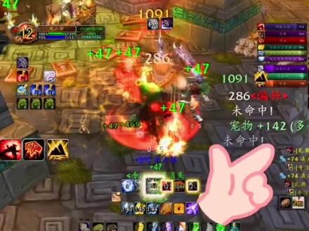 #魔兽世界怀旧服 #巫妖王之怒 #wlk 祖阿曼,战熊