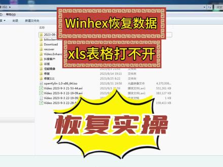 优盘表格打不开,用winhex修复#电脑知识 #数据恢复#数据分析 #干货分享