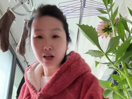 #生命树大结局 太好看了!致敬英雄,艺术已成!