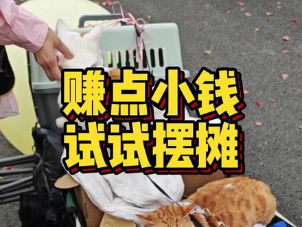 先尝试一下,没什么成本 #摆摊日记 #春游 #露营 #赚钱