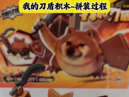 网络热梗我的刀盾拼装积木~拼装过程 #积木 #我的刀盾 #动手动脑 #玩具