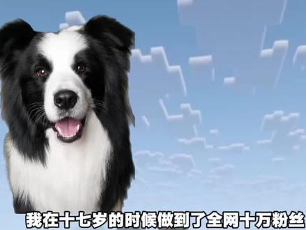 高中生做自媒体全网十万粉丝,我到底赚了多少钱
#边牧#自媒体