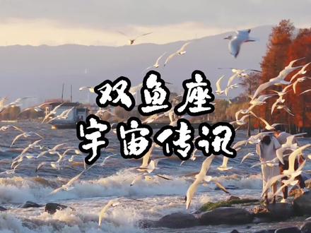 双鱼座:来看看宇宙给你什么指引#双鱼座 #情感