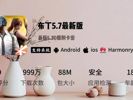 《红心宝箱》布丁5.7版下载教程 附带详细卡密#和平精英密钥透 #和平精英密钥 #密钥透下载教程 #密钥透怎么下载