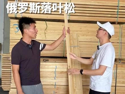 #俄罗斯落叶松 的特点是什么?1分钟,优势、规格、用途全部介绍到位!#木材 #进口木材 #松木