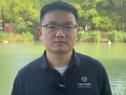 编程不是简单的兴趣班!做好规划能让您少走弯路少花钱! #少儿编程 #升学规划 #科技特长生 #考级