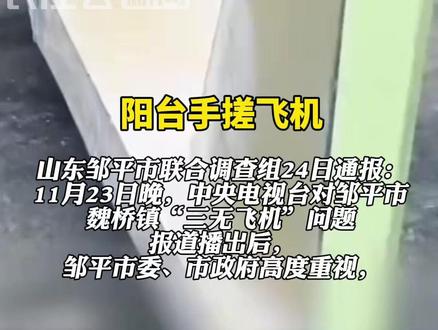 山东邹平成立联合调查组