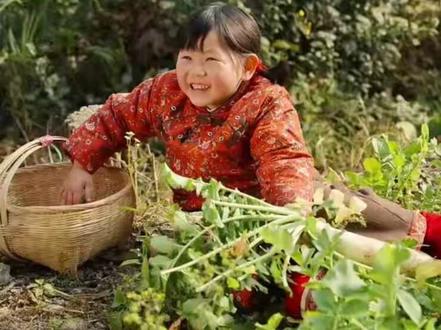 嘿哟嘿哟体验农村拔萝卜 #瑶一瑶小肉包