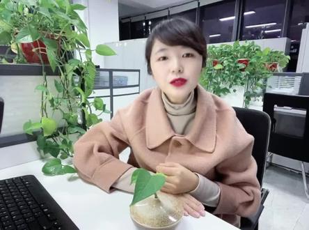 微信收款被查,是按照45%交个税吗?#老板 #微信收款 #财税 #税 #个人所得税