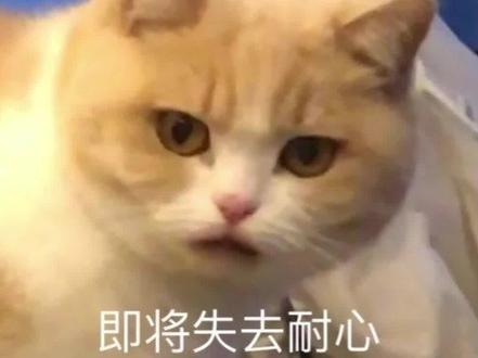 #盗贼之海 #海贼王 纯萌新教程,大佬可以绕路了喔,总会有好兄弟用得上的,教程有点长但是教的都是有用的喔,耐心看完好吗,我的宝@DOU+小助手