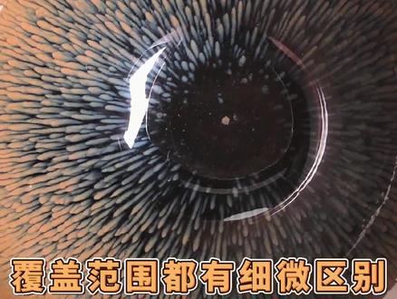 建盏釉色的分类#高端茶器 #建盏