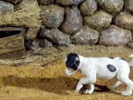 韩国 权正生著名童话《哆基朴的天空》#儿童 #儿童睡前故事 #儿童图书推荐