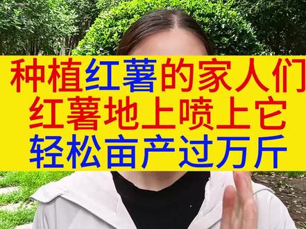 种植红薯的家人们,红薯地上喷上它,轻松亩产过万斤!#新农人计划2023 #红薯土豆花生洋葱如何才能膨大光滑 #地下根茎膨大素谁用谁增产