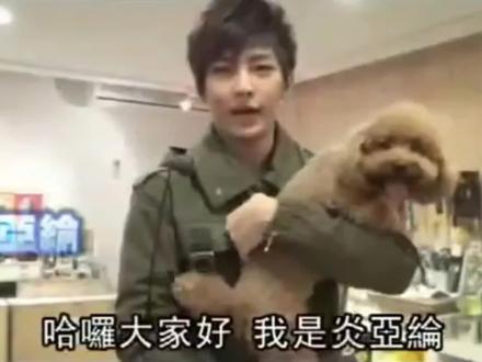 2026.05.27 Cookie去汪🌍了😭 原来Meimei去年11月也去了汪🌍😭今天Cookie也结束了这段快乐的旅程 出发去汪🌍找Meimei了 它们两小只会在那里相遇 一起开心的玩耍 有好吃的好喝的好玩的 还会认识很多很多的新朋友 也一直会想念纶纶一家人的🫂♥️😭#炎亞綸 #炎亚纶 #yyl #远距离一样可以很幸福 #世界不能没有小狗狗