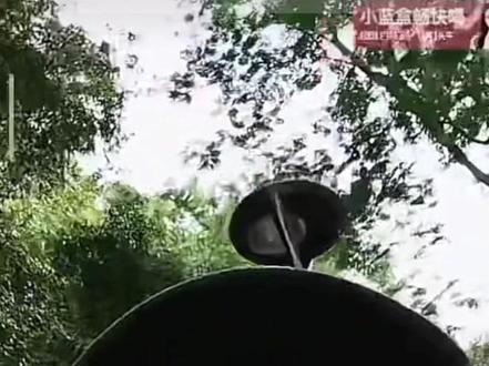 孙卓放暑假啦 一家人一起逛公园
卓卓头发长了 发型很帅啊~
太久没见了~ 妈妈宠粉,卓卓出镜让大家瞧瞧#孙海洋 #孙卓 #寻亲 #宝贝回家 @四丫头孙卓妈妈 @孙海洋家老大孙悦 @༺懒羊羊༻