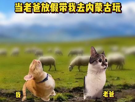“这难道是老爸的白月光?!” #歌曲苍原的狼 #猫meme #内容太过真实 #万万没想到