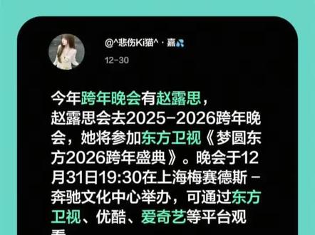 #赵露思 2026跨年晚会