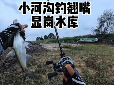 不能错过的翘嘴标点。#路亚翘嘴 #路亚野钓 #深圳路亚标点 #钓鱼技巧 #路亚日记