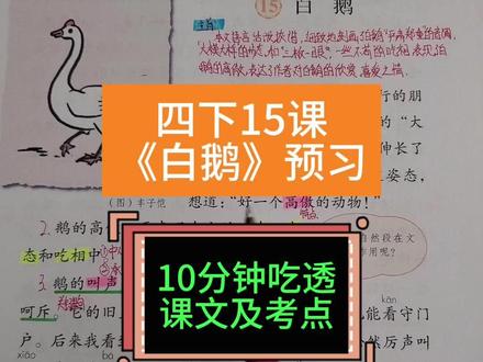 四下课文14《白鹅》全文精讲带孩子吃透考点 学习作者如何通过修辞手法、对比及明贬实褒的写作手法来表达自己对白鹅的情感的 #四年级下册语文 #白鹅课文讲解 #明贬实褒 #课文讲解 #必考考点