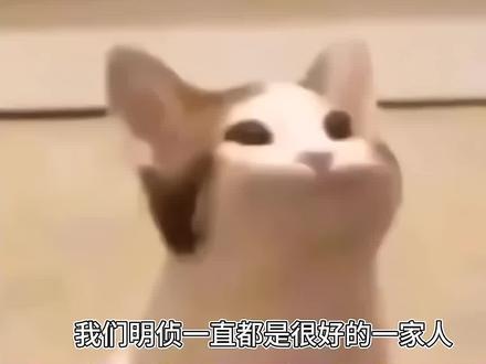 我就知道戚薇姐会夸小蒲的🥹🥹🥹#战至巅峰3半决赛 #蒲熠星