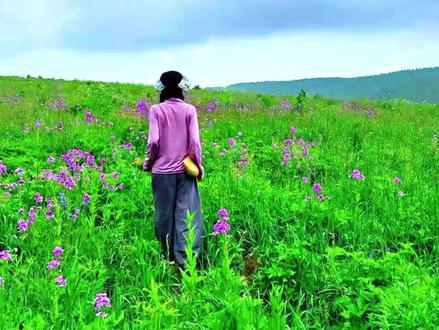 这个果子是天然的洗涤剂,用纱布包起来放进洗衣机能代替洗衣液#植物洗护 #天然洗衣液 #天然洗衣粉 #皂角洗衣 #无患子洗衣#自制日用品 #健康 #养生 #允斌顺时生活