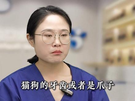 被猫狗的牙齿或爪子刮到了不要慌 #猫咪 #新手养猫 #养猫人 #科学养宠攻略 #养猫经验分享