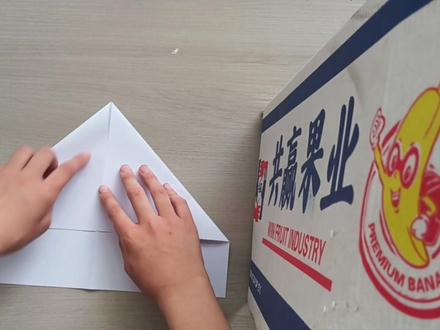 化石翼龙纸飞机,可扑翼#纸飞机