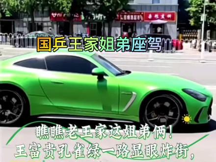 国乒王家姐弟座驾 王楚钦和王曼昱“绿色炸街”座驾#王楚钦 #王曼昱#国乒#奔驰#保时捷