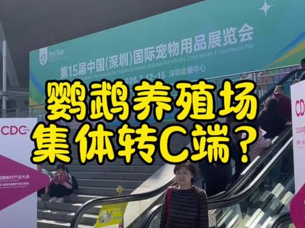 北大养鸟人破局!B端停单后,鹦鹉养殖怎样转C端🔥#深宠展 #北大养鸟人 #鹦鹉供应链 #鹦鹉养殖场 #鹦鹉电商