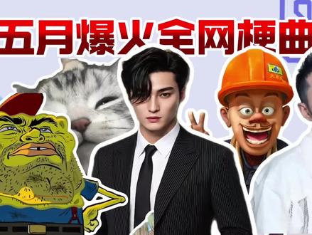 从夯到拉锐评爆火全网的梗曲#小猫 #曾经的王 #king