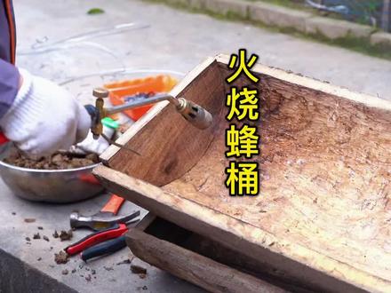 昨天隔壁村老百姓定做了50个圆桶,现在火烧蜂桶做碳化处理,消毒杀菌还可以防虫#养蜂技术 #乡村振兴 #新农人