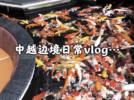 五一小假期快到了~还没想好去哪玩的宝子看过来👋🏻越南老街-沙巴是一个很不错的选择哦~距离河口口岸仅一河之隔,快带上你的护照来这里感受不一样的异国风情吧~(🇻🇳签证/旅游都可以找我哦)#河口口岸 #中越边境 #越南沙巴 #越南签证 #五一去哪儿