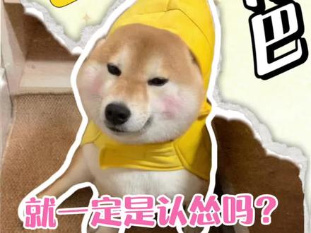 小狗夹尾巴就一定是认怂吗?#养狗 #养狗经验分享 #养狗指南#养狗必看 #养狗指南