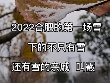 #今年合肥的第一场雪
下的不只有雪
还有雪的亲戚 叫霰
雪我们都熟悉
多呈六角形
花样繁多
所以我们称它为雪花
落地很安静
而霰 我们很少听说
就是那种白色不透明的接近球状的小颗粒
落在硬的物体上会反弹
而且有声音
你听👂沙沙 噼里啪啦
陶渊明在《归园田居》中有一句
“常恐霜霰至
零落同草莽”
里面提到的霰
就是它
霰不是雪
是一种固态降水
同雨 雪 霜 露一样
属于气象
霰从清晨开始下
中午的时候变成了雪
下午就停了
雪后的合肥城异常安静
大街小巷几乎看不到什么人
这一场雪下的都不大不小
还站不住
太阳没出来就化得无影无踪
雪后的那些乐趣
像打雪仗 堆雪人
都难以实现
只剩 下拍的这节短视频#没有一个冬天不可逾越 #愿所有人都平平安安健健康康 #四季轮回愿一切美好都不期而遇