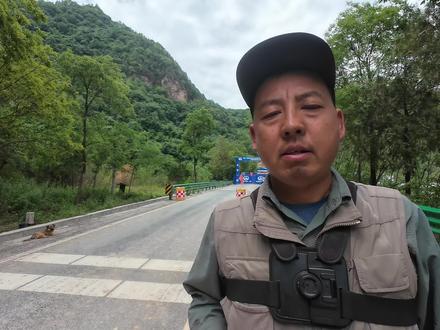 林光村穿越宽滩,山顶200米没贯通,310国道修路隧道怎么绕