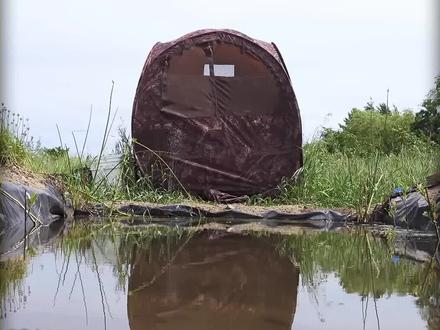 在野外挖一个池塘,记录二百多天里的变化,没想到还有意外收获#池塘 #奇妙的动物 #自然 #昆虫 #野生动物