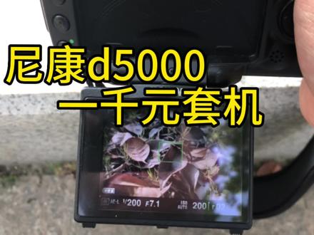 一千居然能够体验到翻转屏的快乐#尼康 #贫穷摄影