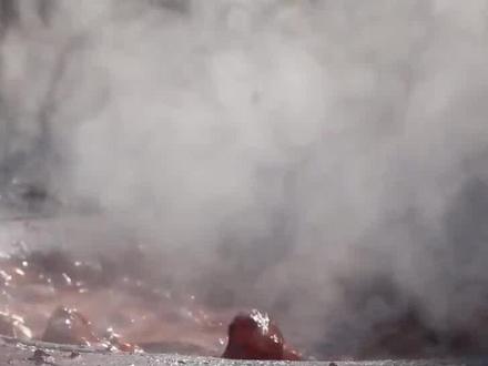 印度疯狂种植槟榔,难道不怕得癌症吗!还是说发现了什么新用途? #印度 #槟榔 #口腔癌 #印度街头小吃