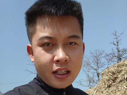多学多做,心中有光路自长。#甘蔗叶 #环保 #保护环境 #甘蔗叶干草