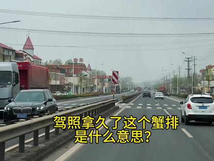 驾照拿久了,这个蟹排到底什么意思