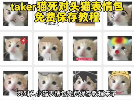 takeru猫表情包,死对头小猫表情包保存教程来了。 #takeru猫表情包微信关键词 #小猫表情包 #死对头小猫表情包 #剪映 #微信表情包 死对头小猫微信表情包 小表情包在微信怎么找 takeru猫表情包 表情包添加到微信 死对头小猫表情包微信
