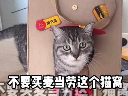 麦当劳99.9套餐里的猫窝值不值?#麦门 #麦门小猫