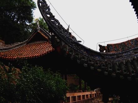 富顺文庙有"五绝",个个都神秘,确实富顺有太多神秘的地方需要考古学家去解锁#心动春节#春节心动之旅#在好风景里拥抱20203#过节犒劳自己好去处