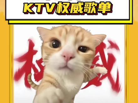 #这才是真正的KTV权威歌单 不知道啊,听着我就摇起来了 #DJ #ktv神曲 #张信哲 #嗨翻全场