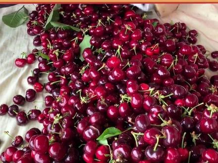 希望大家不要为了便宜买到坏的车厘子#车厘子 #水果 #娱乐评论大赏