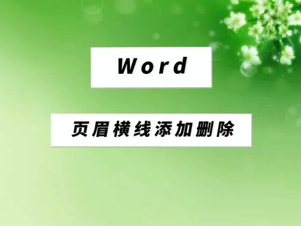 文档的页眉横线怎么添加删除去掉#办公软件技巧 #页眉横线 #wps办公教学 #word教程 #文员零基础入门教程