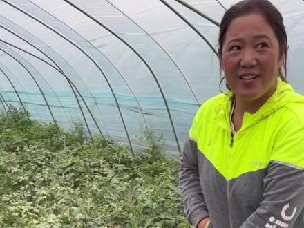 验瓜的意义是什么?得我心里有底啊