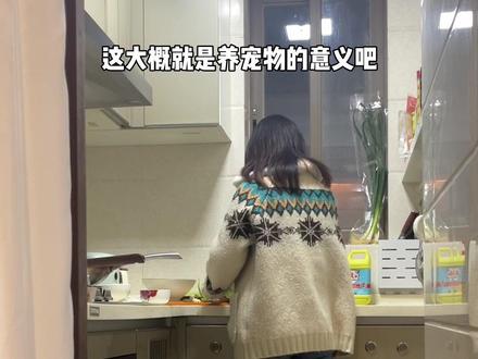 这大概就是我养宠物的意义吧#柯基 #狗狗 #萌宠出道计划 #狗狗的陪伴真能治愈人心